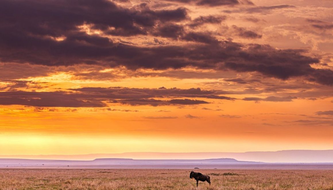 grassland hills wildlife mountains 7319829